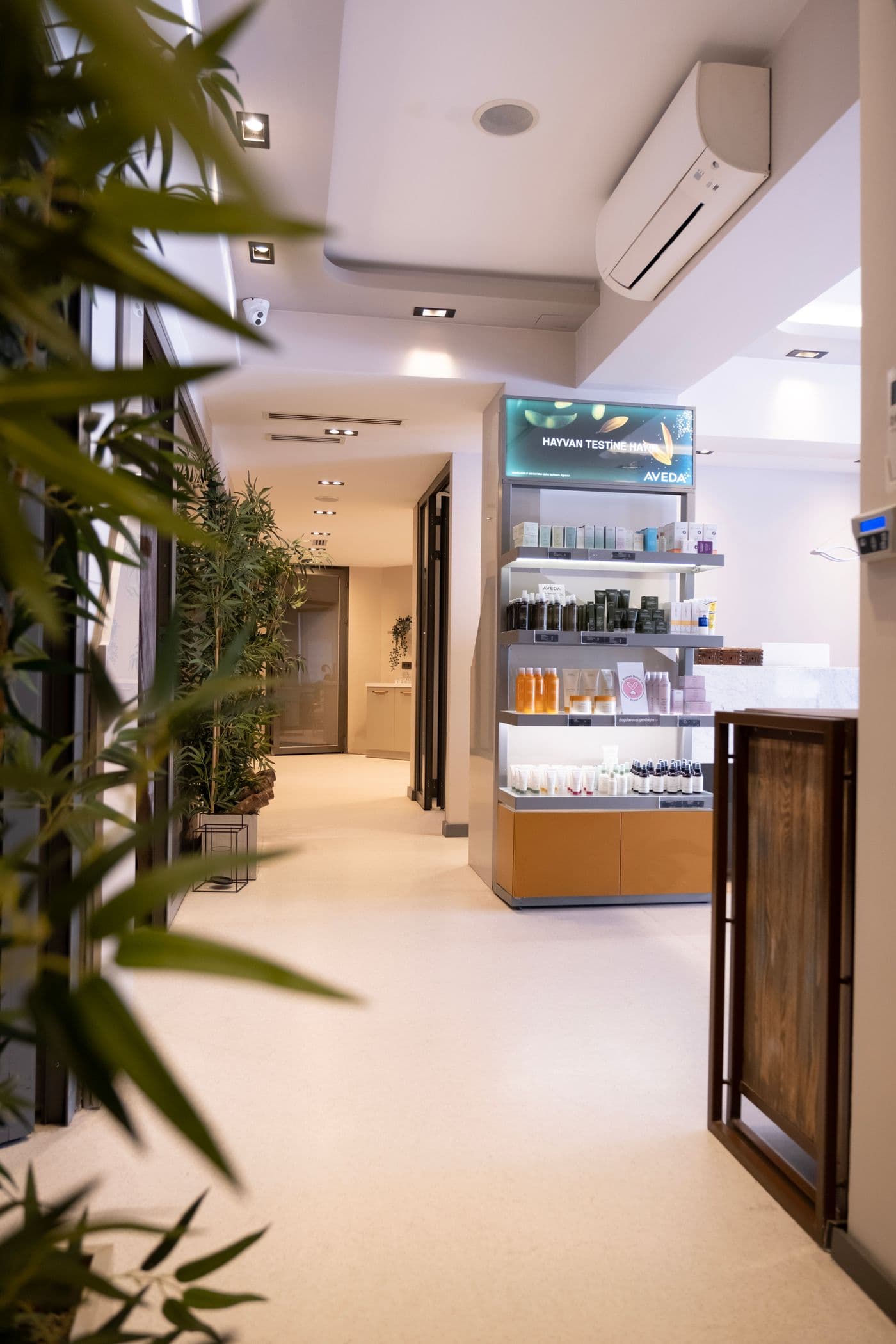 Calm corridor with product display and plants